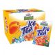 FRUTTI ITALPOR ICE TEA BARACK 8,5G