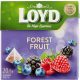 LOYD TEA ERDEIGYÜMÖLCS 20X2G