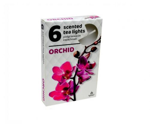 ILLATOS TEAMÉCSES ORCHIDEA 6DB