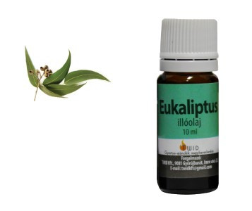 ILLÓOLAJ EUCALIPTUS 10ML