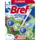 BREF POWER AKTIV WC FRISSÍTŐ PINE FRESH 50G